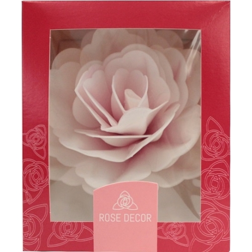 Róża chińska duża cieniowana różowa 12,5 cm